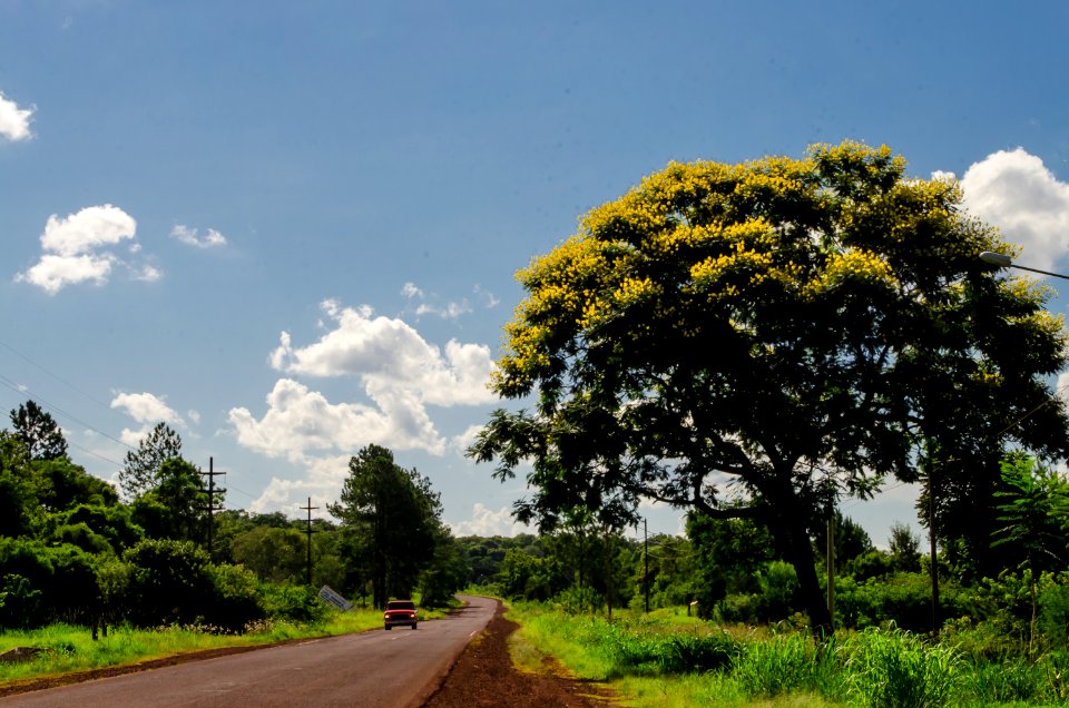Rutas de mi tierra