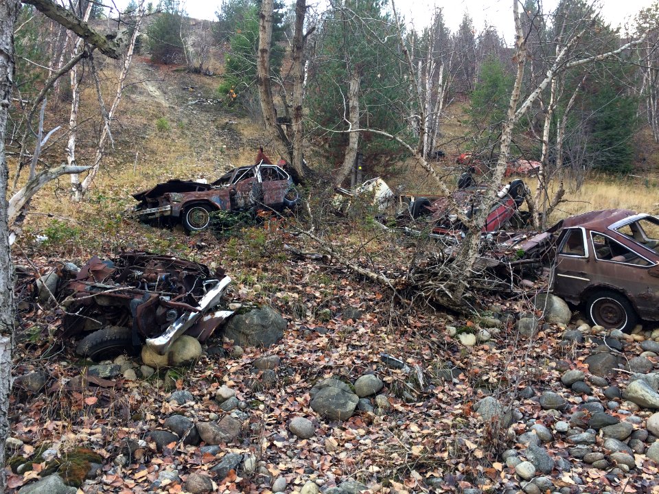 Cars along Columbia river