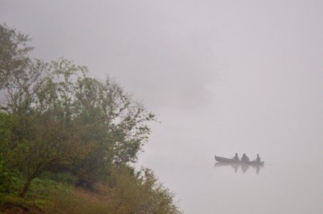 En la niebla