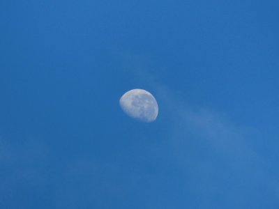 P1220635