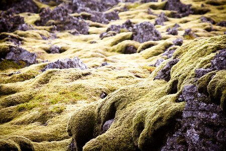 Lava rock nature photo