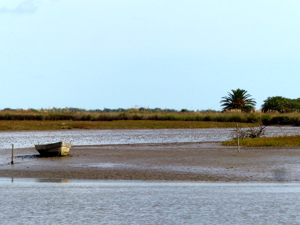 P1220598