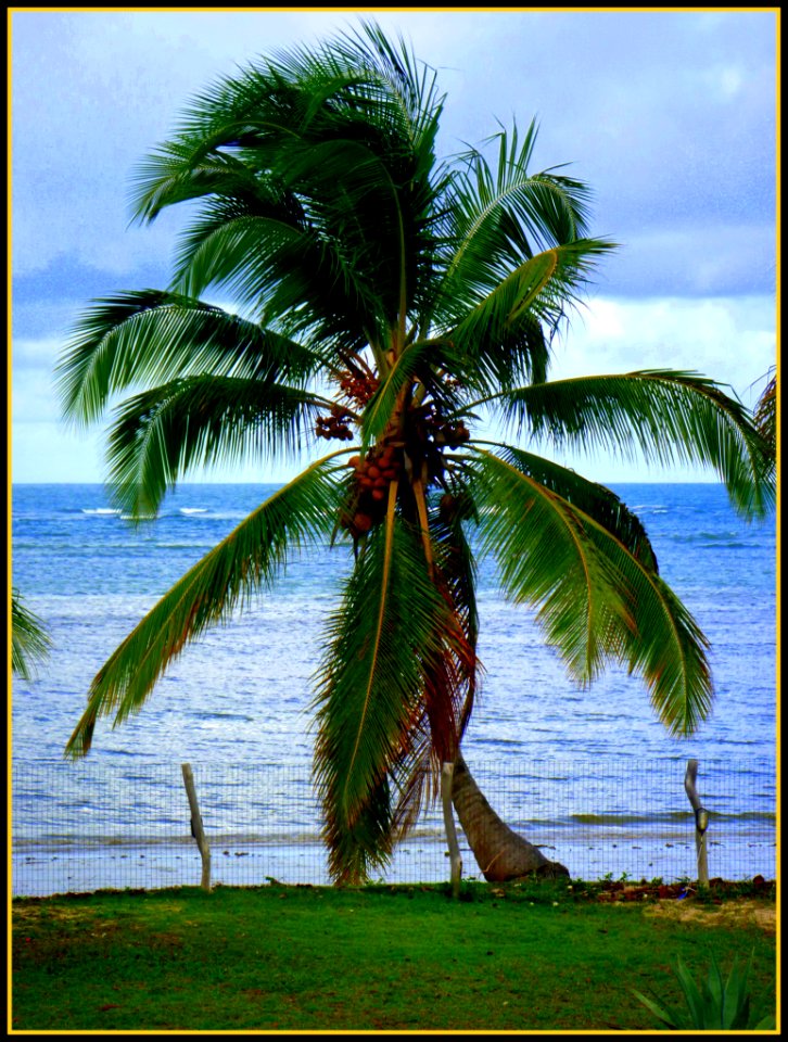P1040847