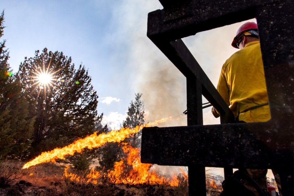 Blacklining the Trout Springs Rx Fire