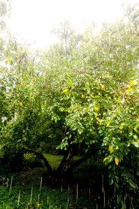 lluvia con techo photo