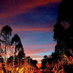 Atardecer con valentia