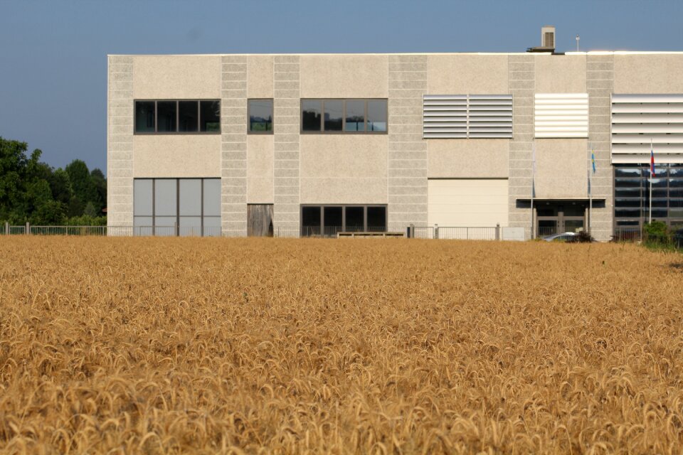 Cereals industrial shed factory