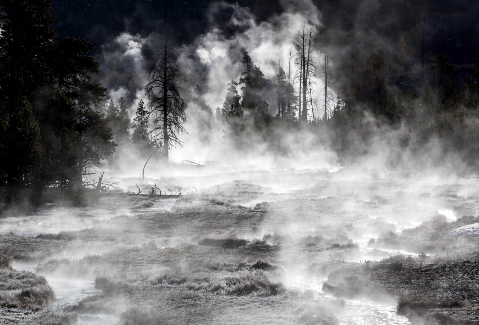 Frost & steam, Midway Geyser Basin
