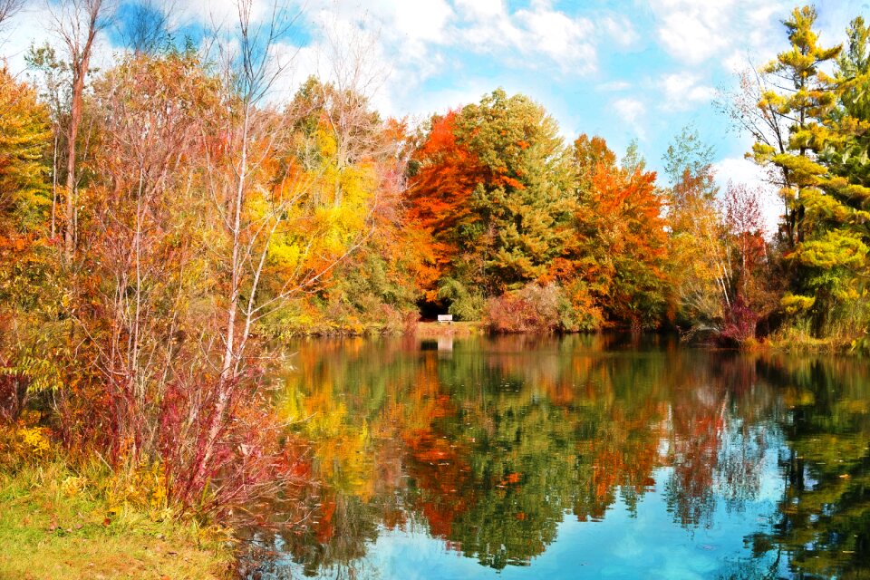 Fall leaves background autumn leaves october