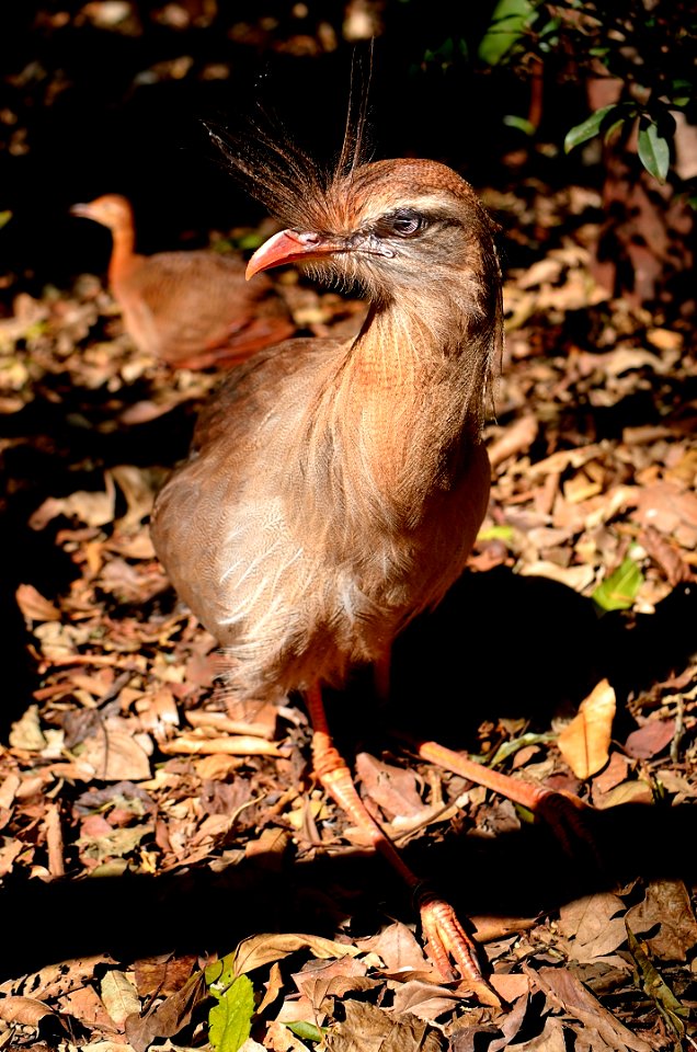  DSC3159
