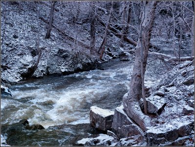 Webster's Falls photo