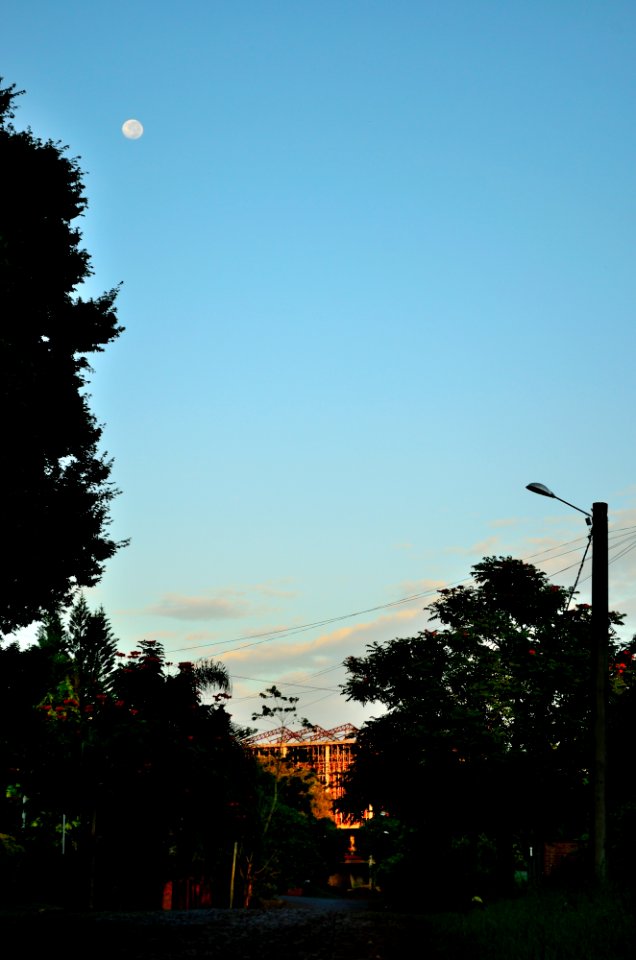  DSC2599