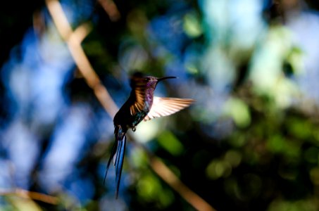  DSC5080