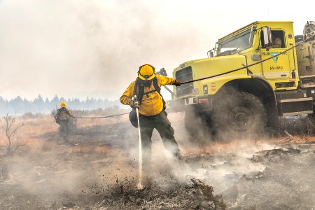 Trout Springs Rx Fire