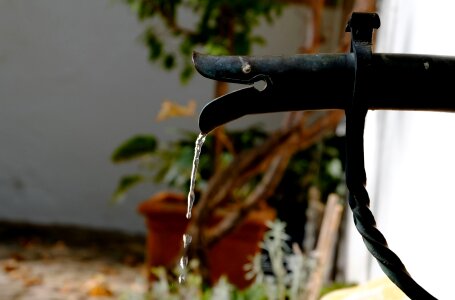 Water drip nature