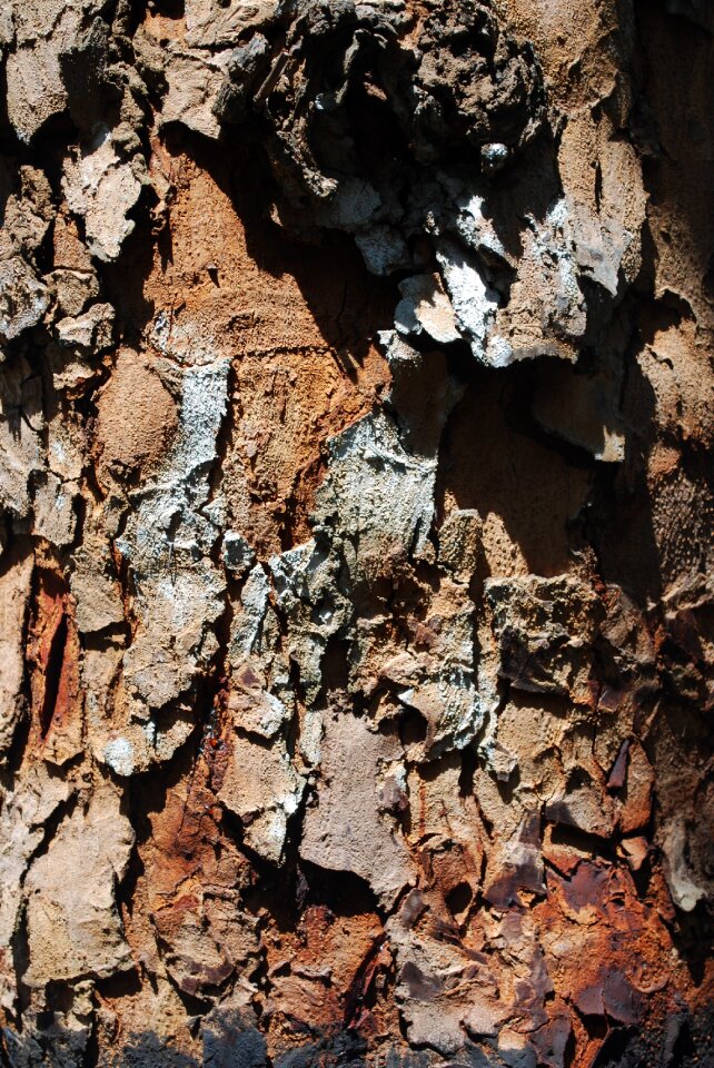 Indonesia texture surface