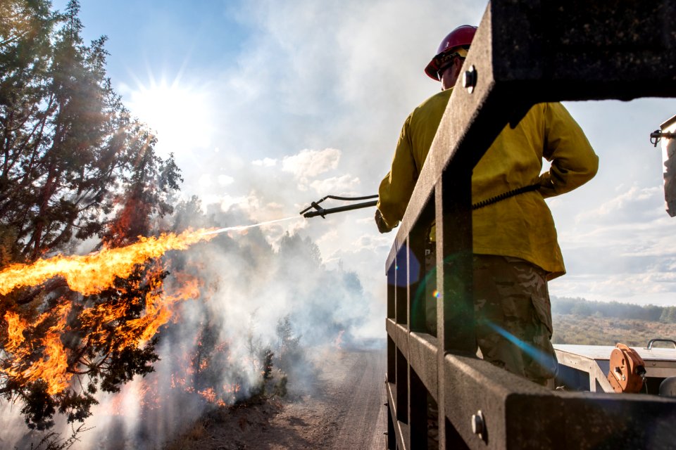 Blacklining the Trout Springs Rx Fire