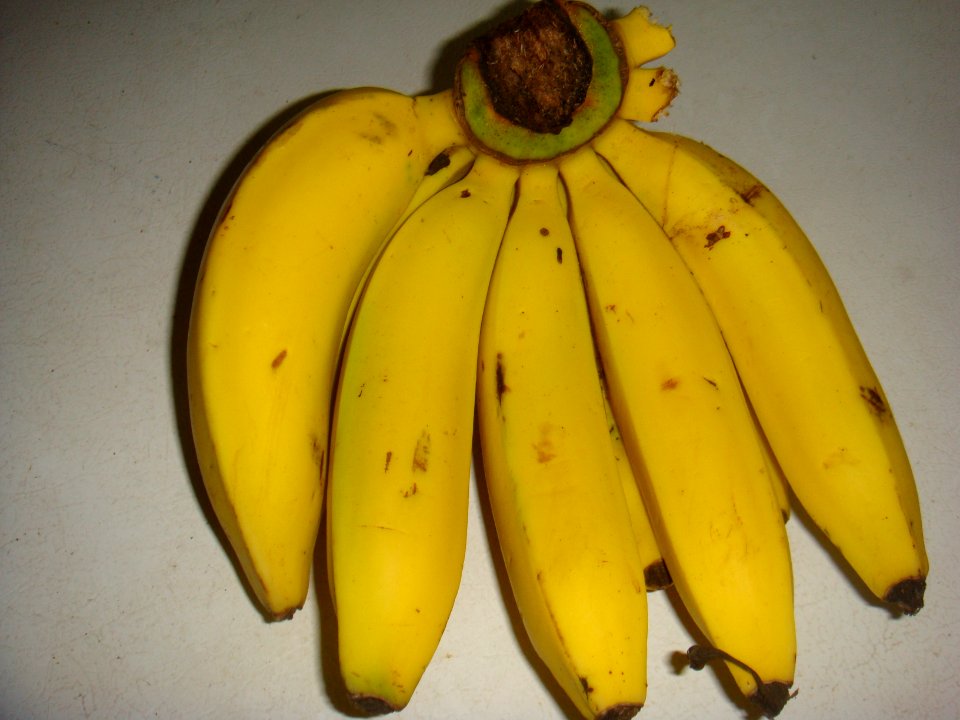 gros michel bananas