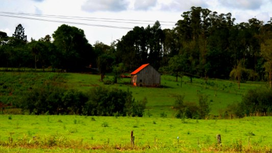 DSC 0054