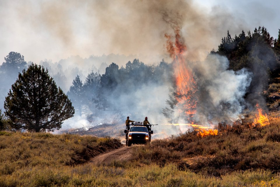 Trout Springs Rx Fire