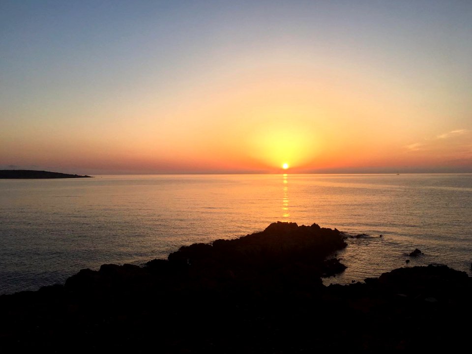 Asinara photo