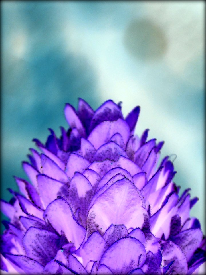 DSC 0069