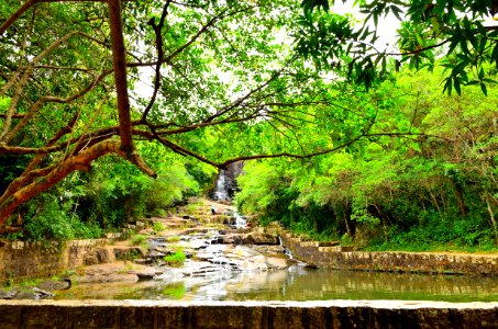 Trilha y cascada