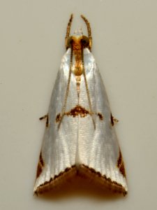  DSC7970