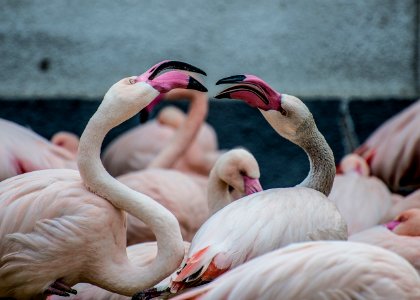 Unsplash week of December 27 2016