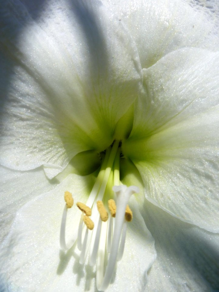 P1120923