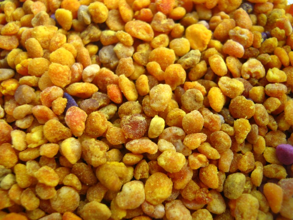 Pollen yellow pollen balls