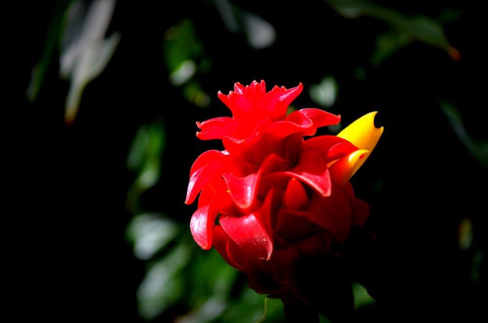 DSC 0079 (2)