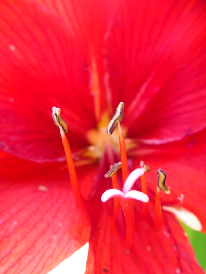 P1120918