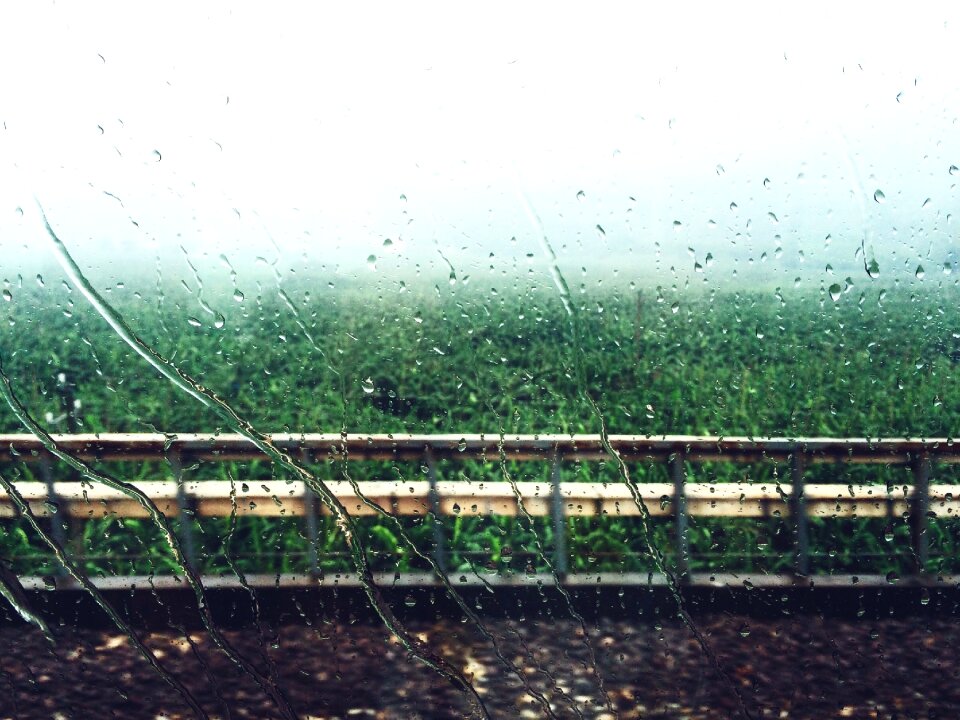 Rain the window woods