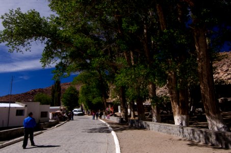  DSC0157