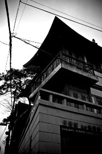 DSCF0303