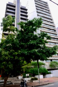 São Paulo, Brazil