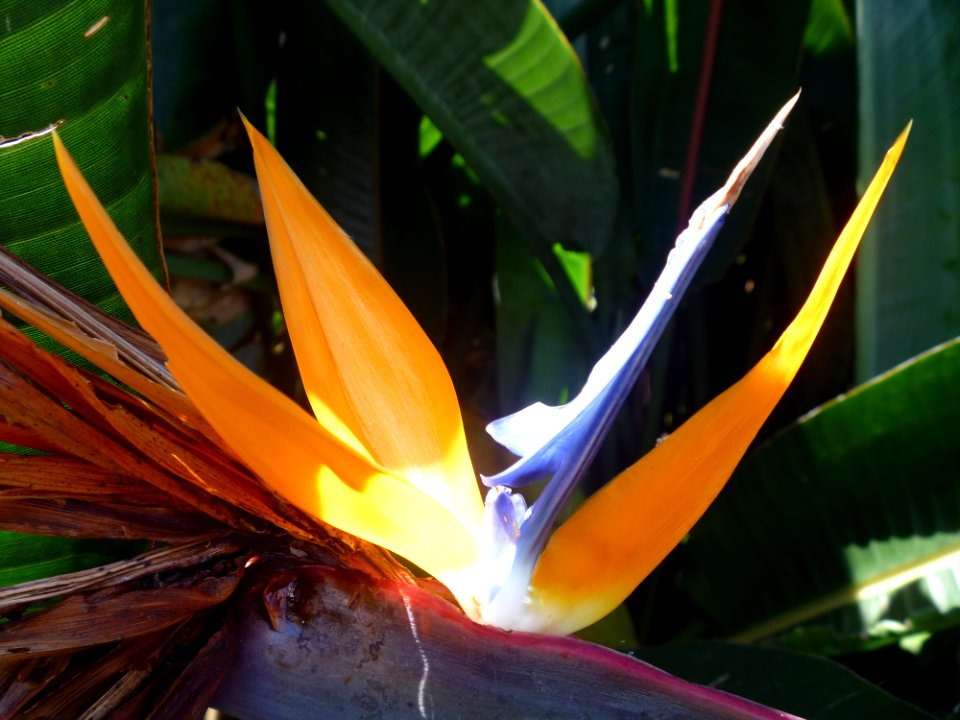 P1120927