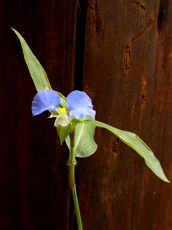 2013-04-30-1225