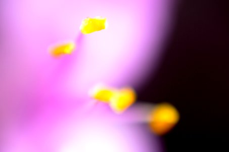  DSC7491