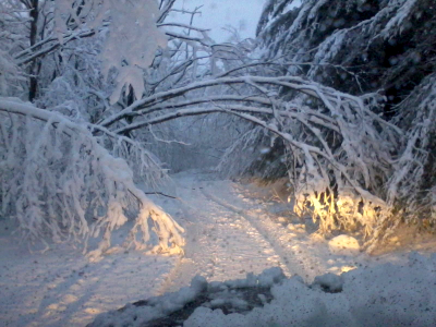 Hurricane Sandy pounds West Virginia