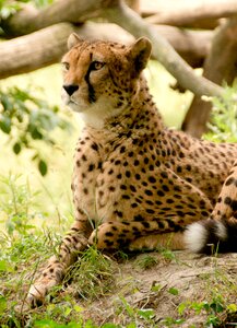 Nature vacations national park