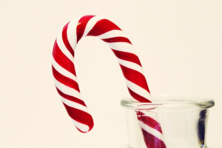 Sugar sweetness christmas