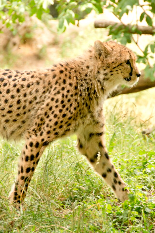 Nature vacations national park