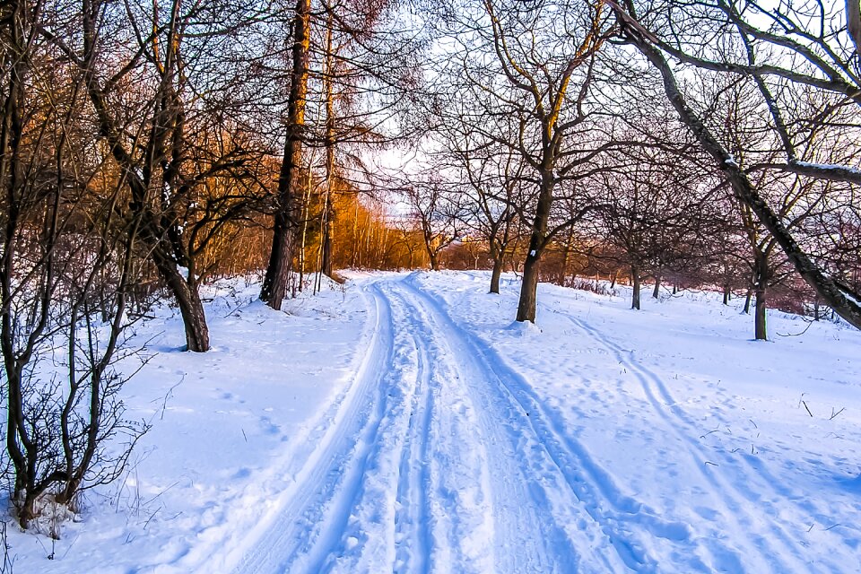Winter path country