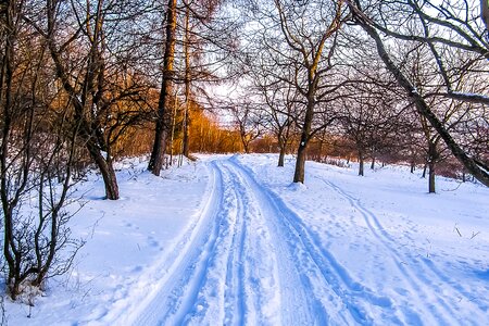 Winter path country photo