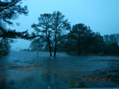 Chincoteague National Wildlife Refuge: October 29, 2012 (VA)