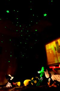 Bajo las estrellas