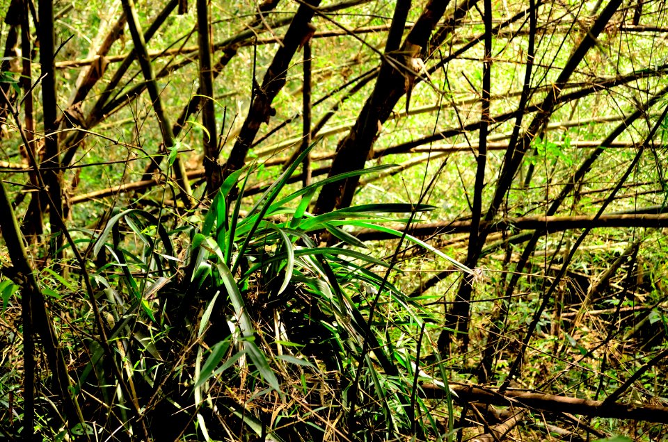 Entre lineas1