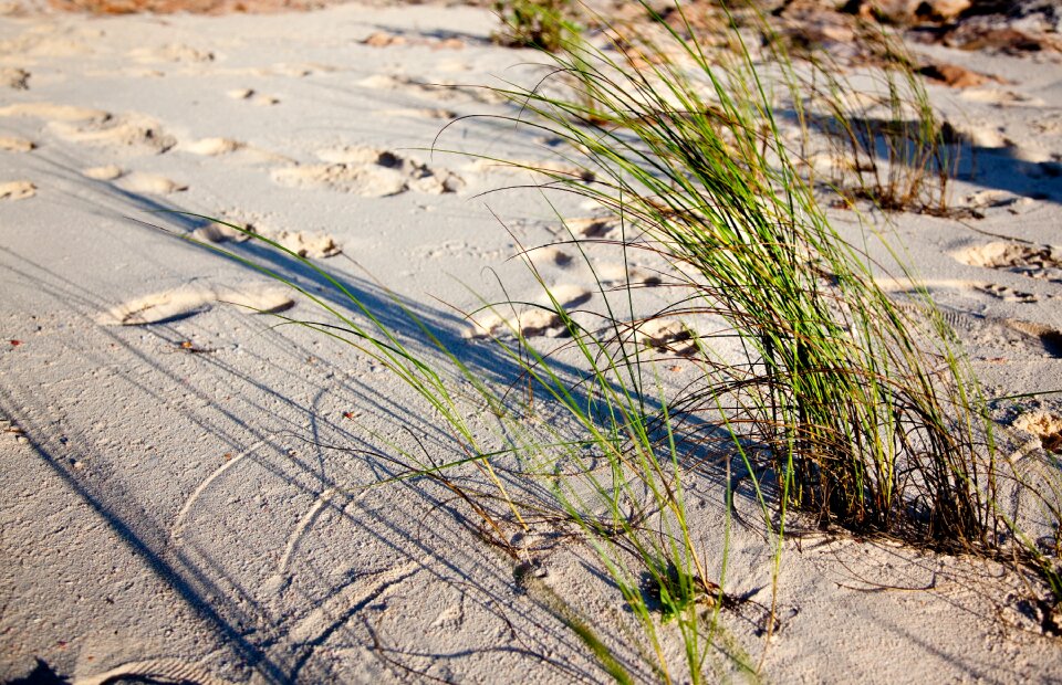 Wind shadows water